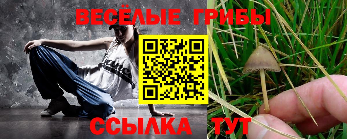 Галлюциногенные грибы Psilocybine cubensis Азов